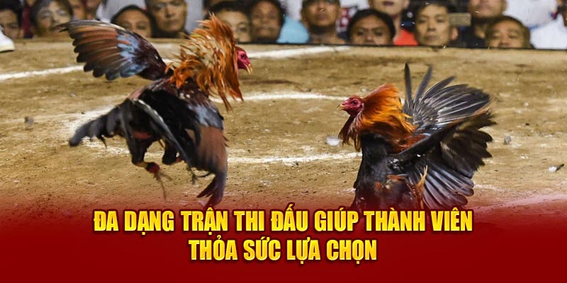 Đa dạng trận thi đấu giúp thành viên thỏa sức lựa chọn