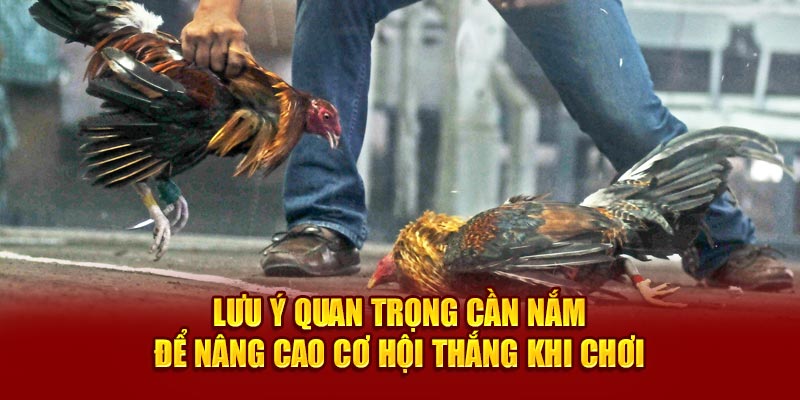 Lưu ý quan trọng cần nắm để nâng cao cơ hội thắng khi chơi